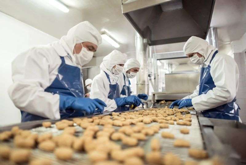 induatria de alimentos